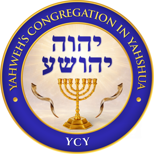 YCY Logo